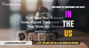 Trademark Law Cases: A Growing Concern in the US