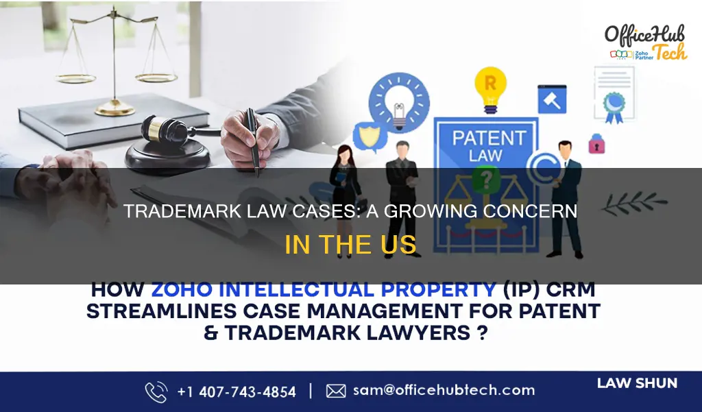 how many us trademark law cases in the us