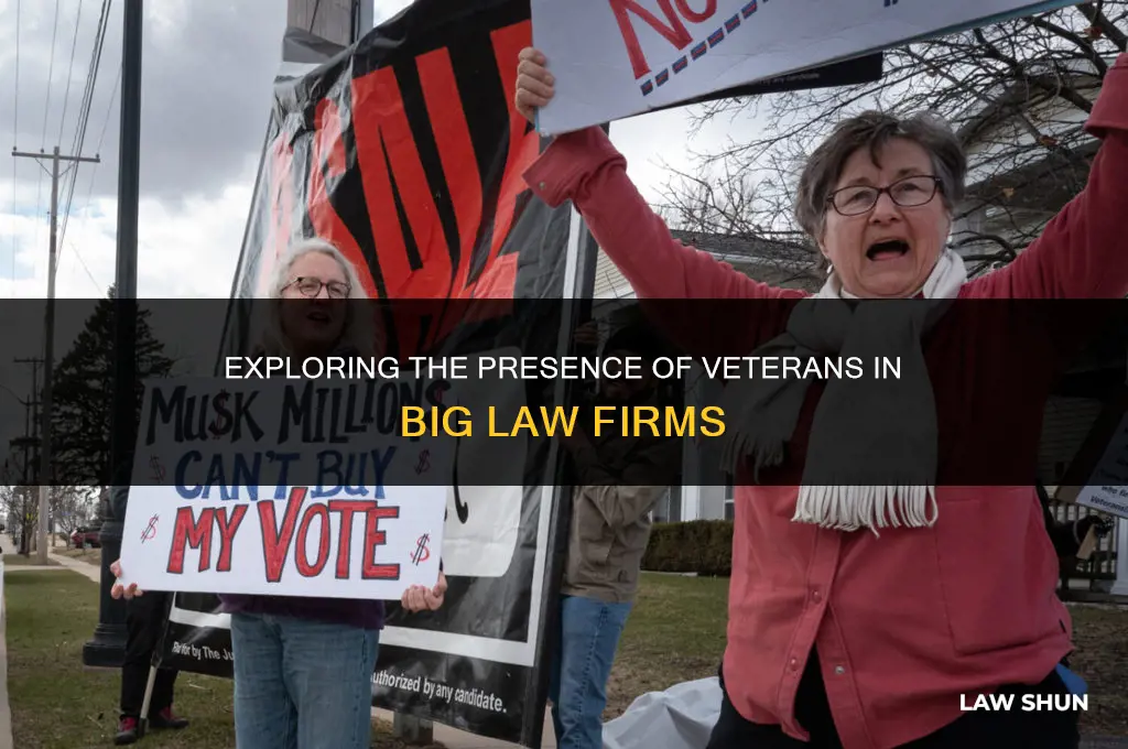 how many veterans in big law