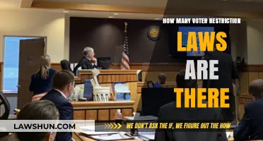 Understanding the Growing Number of Voter Restriction Laws in America