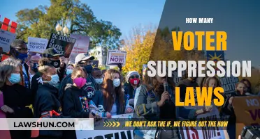 Voter Suppression Laws: Analyzing the Growing Threat to Democracy