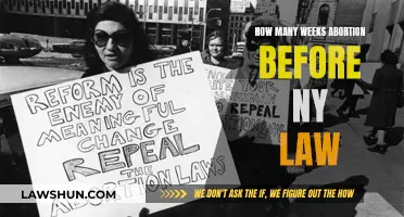 New York Abortion Law: How Many Weeks Before?