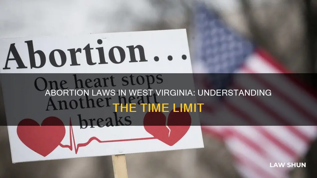 how many weeks abortion by law west virginia