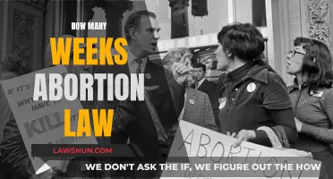 Abortion Law: Understanding the Time Limit and Legalities