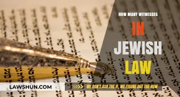 Unveiling the Depths of Jewish Law: A Witness Perspective