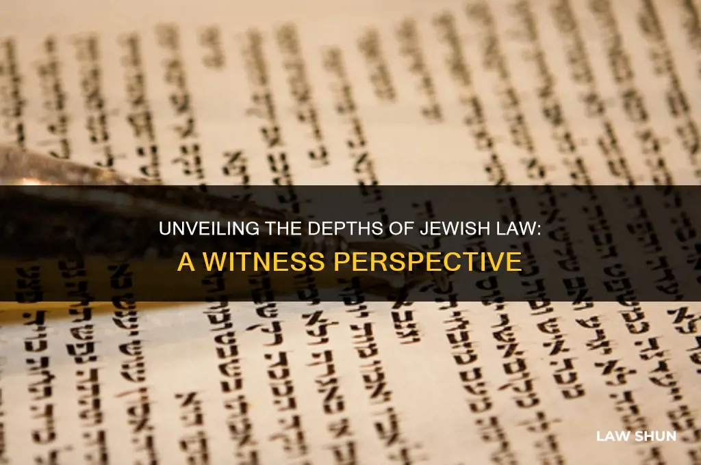 how many witnesses in jewish law