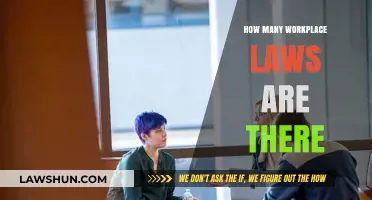 Navigating the Complex Landscape of Workplace Legislation