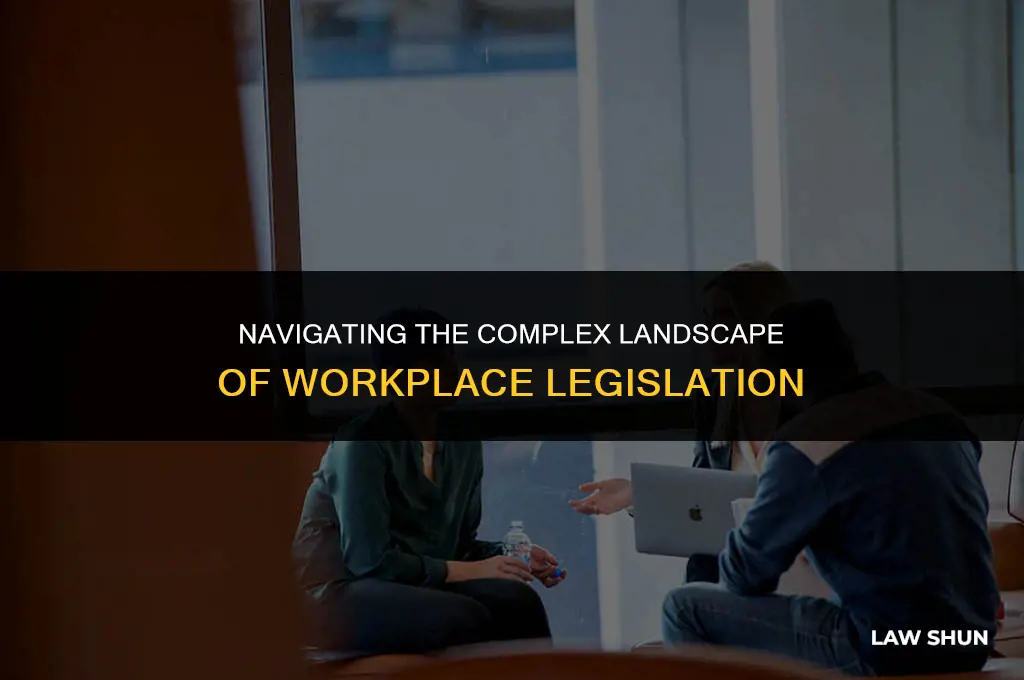 how many workplace laws are there
