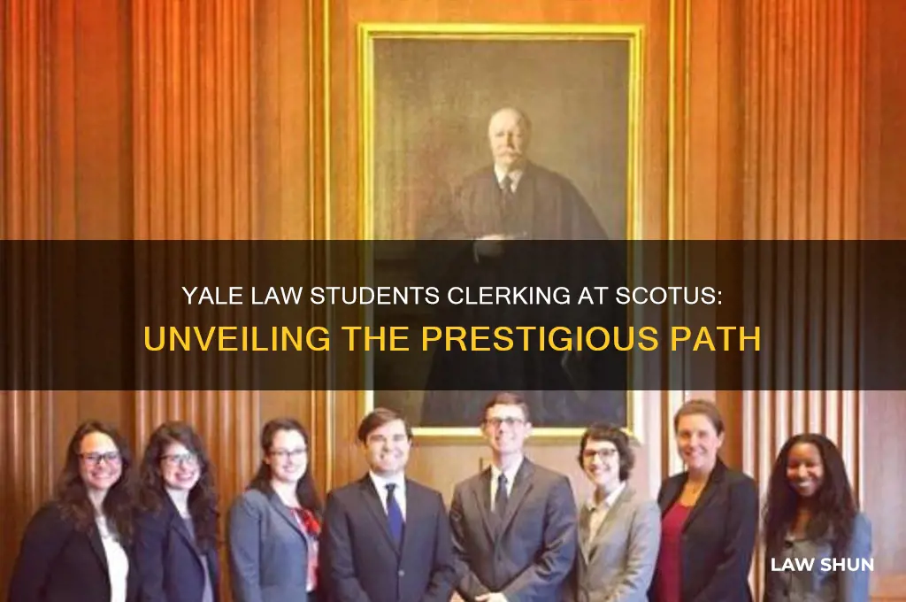 how many yale law students clerk for scotus