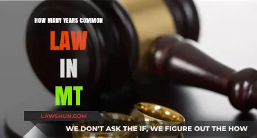 Montana's Common Law Marriage Recognition