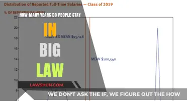 Big Law Tenure: Understanding Average Career Length in Top Firms