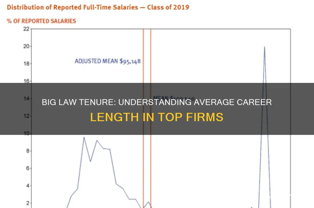 how many years do people stay in big law