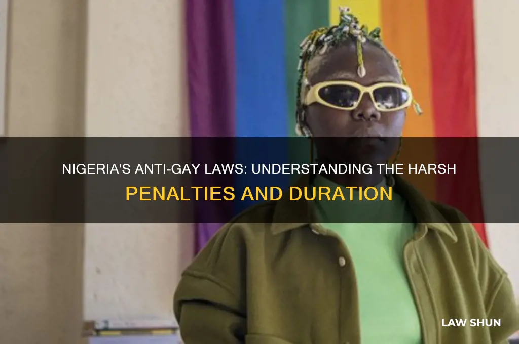 how many years dosethe law punish a gays in nigerian