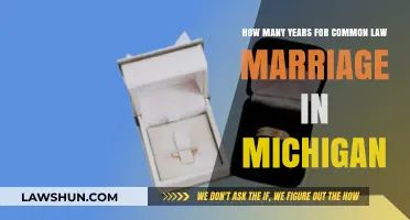 Lawful Years for Common-Law Marriage in Michigan