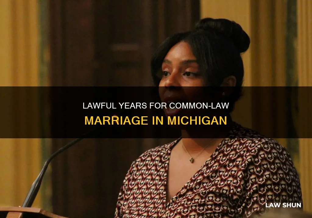 how many years for common law marriage in michigan