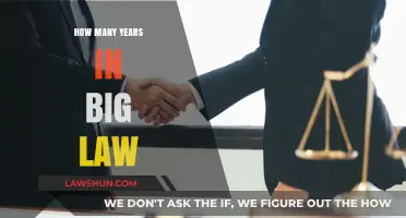 Decoding the Tenure: Unveiling the Mysteries of Big Law Years