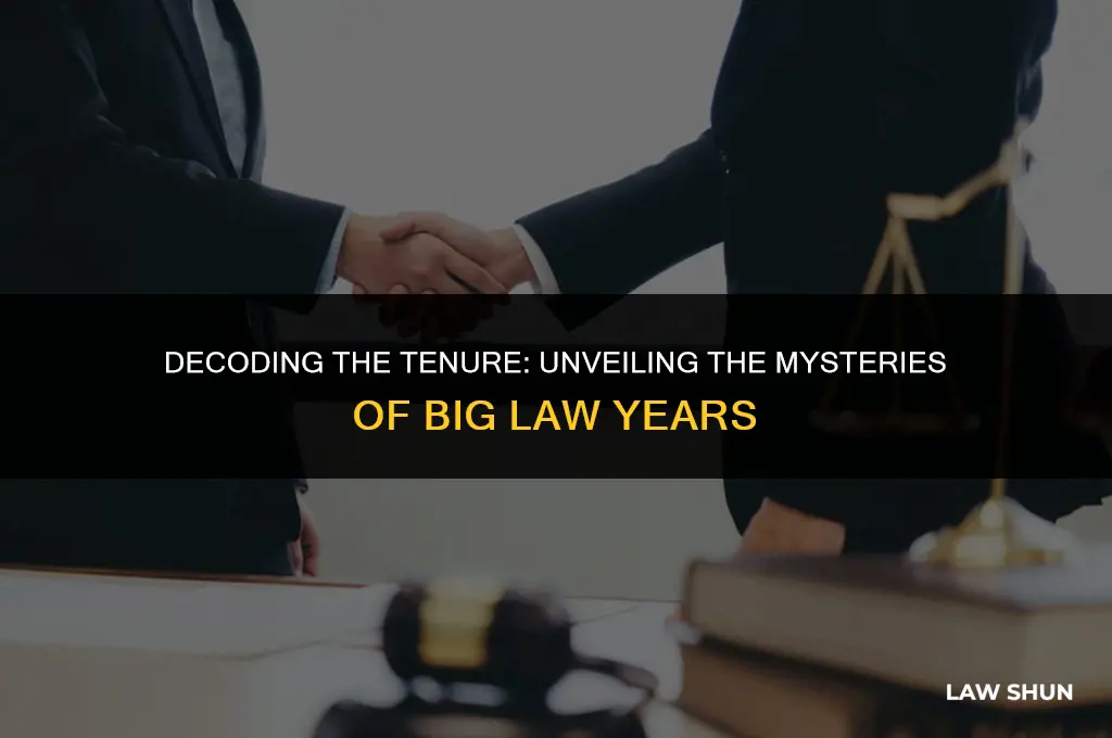 how many years in big law
