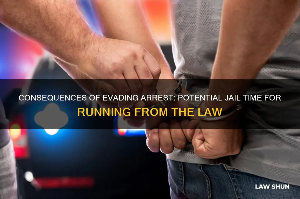 how many years in jail for running from the law