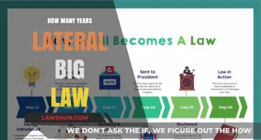 Decoding the Lateral Move: Big Law's Experience Timeline