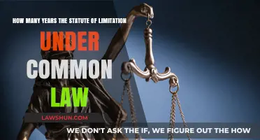 Statute of Limitations: Common Law Time Limits Explained