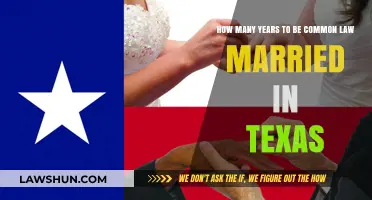 Understanding Texas Common Law Marriage Requirements