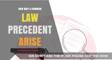 Common Law Precedent: How It's Established