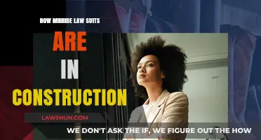Uncovering the Impact of Bribery Lawsuits in Construction Projects