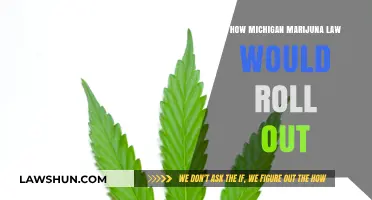 Michigan's Marijuana Legalization: Unpacking the Rollout and Regulations