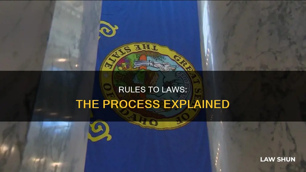 how might a rule become a law