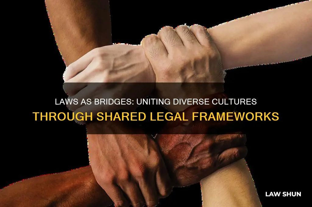 how might laws unite people from various cultures