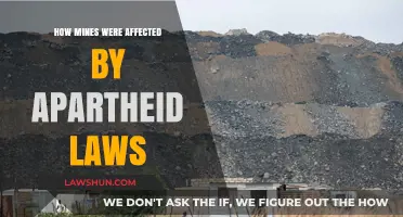 Apartheid's Shadow: The Devastating Impact on South African Mines