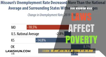 Minimum Wage Laws: Impact on Poverty and Economic Inequality