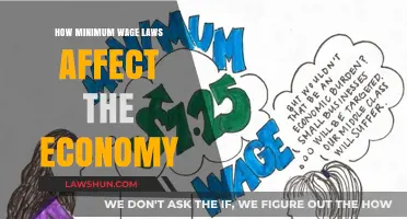 Minimum Wage Laws: Economic Impact and Labor Market Dynamics Explored