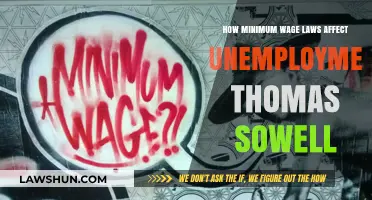 Sowell's Insights: Minimum Wage Laws and Unemployment Dynamics Explored