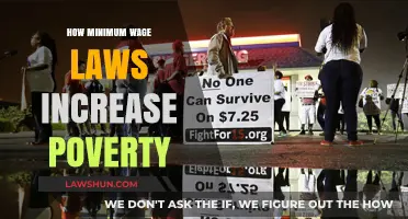 The Paradox of Minimum Wage: How Good Intentions Can Increase Poverty