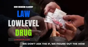 Unseen Chains: How Modern Slavery Laws Impact Low-Level Drug Offenders