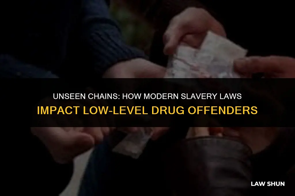 how modern slavery law lowlevel drug
