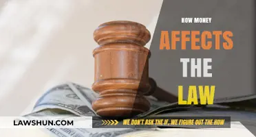 Money's Influence: Shaping Legal Outcomes and Justice Systems Worldwide