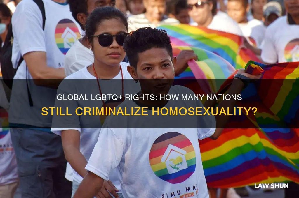 how msny countries have antigay laws
