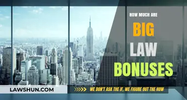 Decoding Big Law Bonuses: A Comprehensive Guide to Compensation