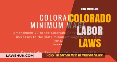 Understanding Colorado Labor Laws: Costs, Compliance, and Employee Rights Explained