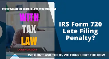 Penalties for Noncompliance: IRS Fines Explained