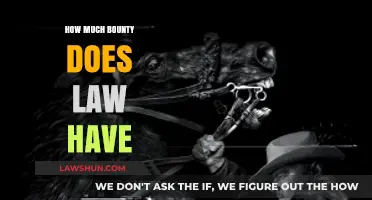Unveiling the Lucrative World of Bounty Law: Myths and Realities