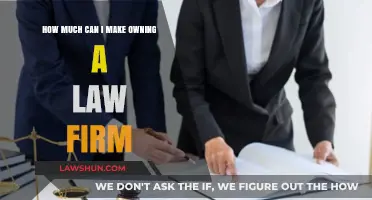 Lucrative Legal Practice: Earning Potential of Law Firm Ownership