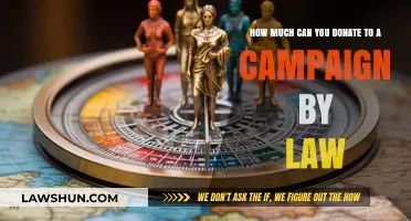 Donation Limits: Political Campaign Contributions Legally Allowed