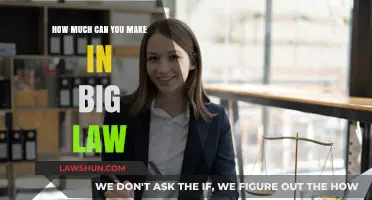 Big Law Earnings: How Much Can You Expect?