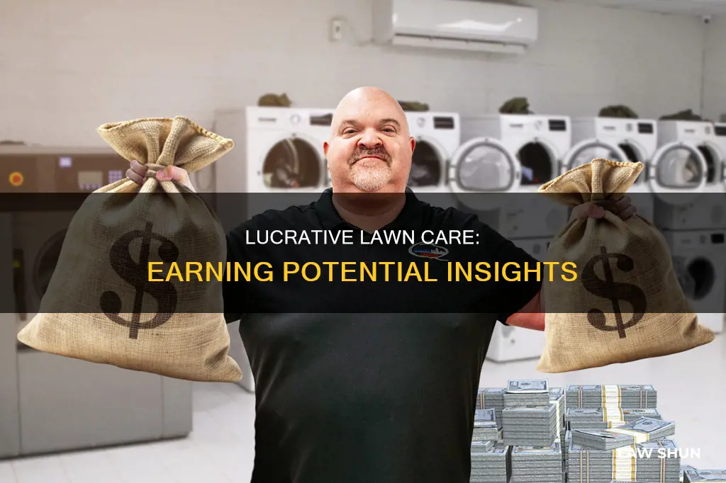 how much can you make owning a lawan care business