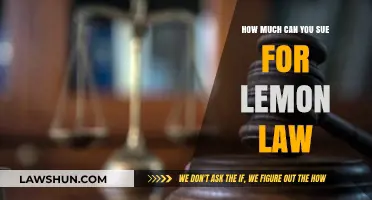 Lemon Law Claims: How Much Can You Sue For?