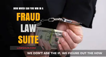 Fraud Lawsuits: Potential Winnings and Factors Affecting Them