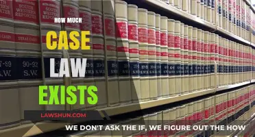 Case Law: An Ever-Growing Body of Legal Precedent